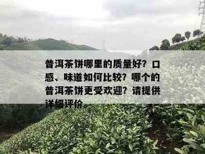 普洱茶饼哪里的质量好？口感、味道如何比较？哪个的普洱茶饼更受欢迎？请提供详细评价。