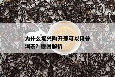 为什么坭兴陶开壶可以用普洱茶？原因解析