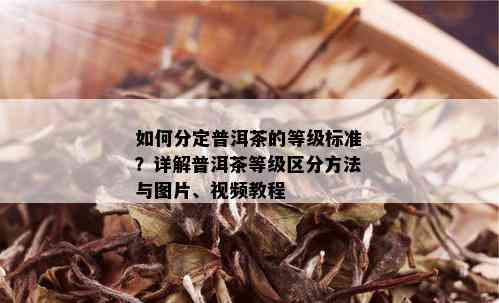 如何分定普洱茶的等级标准？详解普洱茶等级区分方法与图片、视频教程