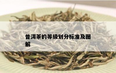 普洱茶的等级划分标准及图解