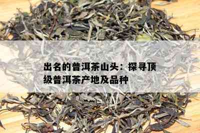 出名的普洱茶山头：探寻顶级普洱茶产地及品种