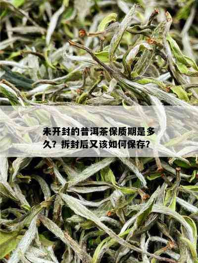 未开封的普洱茶保质期是多久？拆封后又该如何保存？