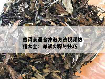 普洱茶混合冲泡方法视频教程大全：详解步骤与技巧