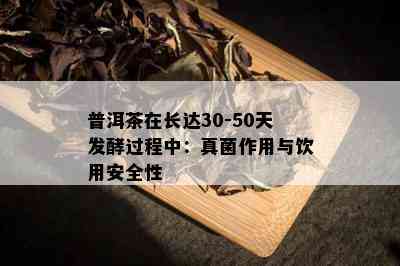 普洱茶在长达30-50天发酵过程中：真菌作用与饮用安全性