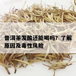 普洱茶发酸还能喝吗？了解原因及性风险