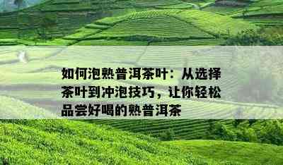 如何泡熟普洱茶叶：从选择茶叶到冲泡技巧，让你轻松品尝好喝的熟普洱茶