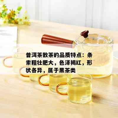 普洱茶散茶的品质特点：条索粗壮肥大，色泽褐红，形状各异，属于黑茶类