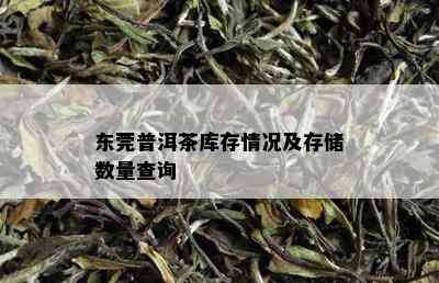 东莞普洱茶库存情况及存储数量查询