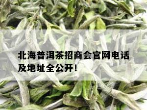 北海普洱茶招商会官网电话及地址全公开！