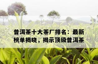 普洱茶十大茶厂排名：最新榜单揭晓，揭示顶级普洱茶