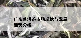 广东普洱茶市场现状与发展趋势分析