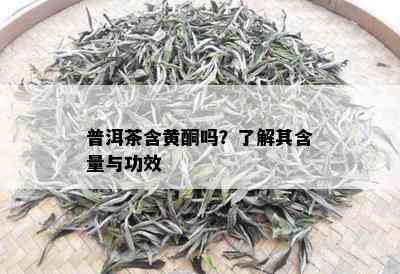 普洱茶含黄酮吗？了解其含量与功效