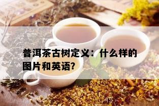 普洱茶古树定义：什么样的图片和英语？