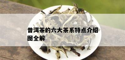 普洱茶的六大茶系特点介绍图全解