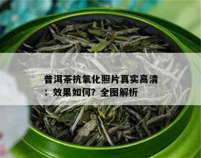 普洱茶抗氧化照片真实高清：效果如何？全图解析