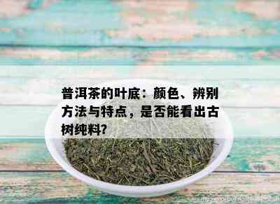 普洱茶的叶底：颜色、辨别方法与特点，是否能看出古树纯料？