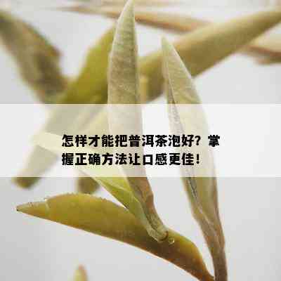 怎样才能把普洱茶泡好？掌握正确方法让口感更佳！