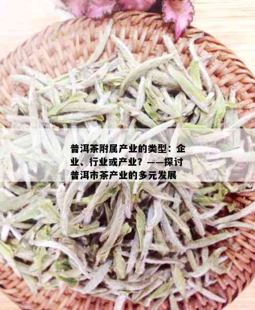 普洱茶附属产业的类型：企业、行业或产业？——探讨普洱市茶产业的多元发展