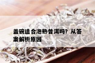 盖碗适合泡熟普洱吗？从答案解析原因