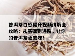 普洱茶口感提升视频讲解全攻略：从基础到进阶，让你的普洱茶更美味！