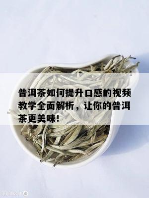 普洱茶如何提升口感的视频教学全面解析，让你的普洱茶更美味！