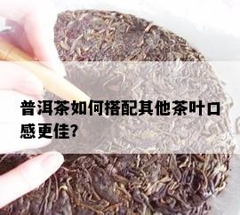 普洱茶如何搭配其他茶叶口感更佳？