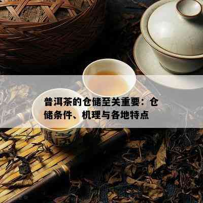 普洱茶的仓储至关重要：仓储条件、机理与各地特点