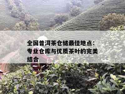 全国普洱茶仓储更佳地点：专业仓库与优质茶叶的完美结合