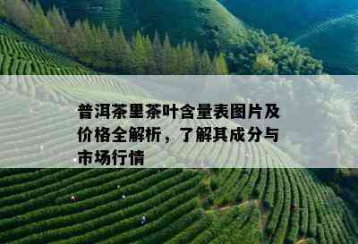 普洱茶里茶叶含量表图片及价格全解析，了解其成分与市场行情