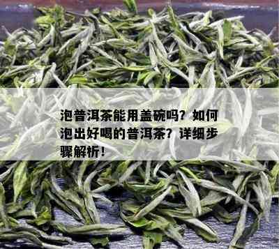 泡普洱茶能用盖碗吗？如何泡出好喝的普洱茶？详细步骤解析！