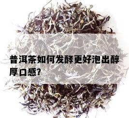 普洱茶如何发酵更好泡出醇厚口感？