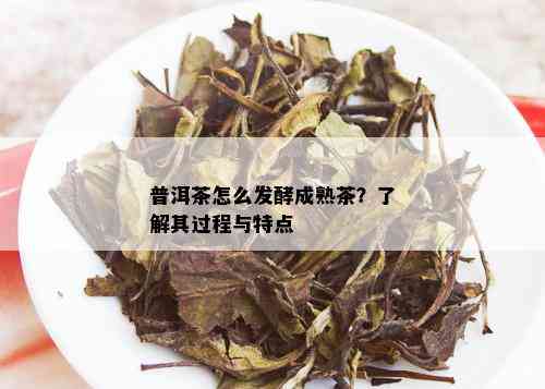 普洱茶怎么发酵成熟茶？了解其过程与特点