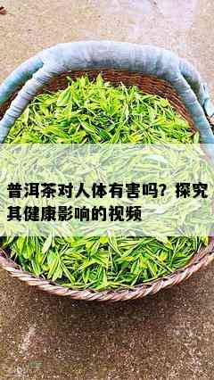 普洱茶对人体有害吗？探究其健康影响的视频