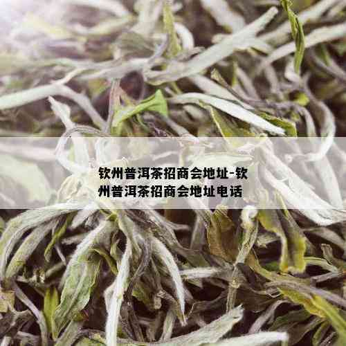 钦州普洱茶招商会地址-钦州普洱茶招商会地址电话