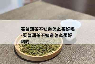 买普洱茶不知道怎么买好喝-买普洱茶不知道怎么买好喝的