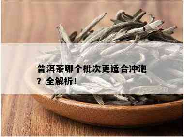 普洱茶哪个批次更适合冲泡？全解析！