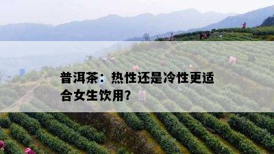 普洱茶：热性还是冷性更适合女生饮用？