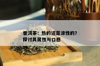 普洱茶：热的还是凉性的？探讨其属性与口感