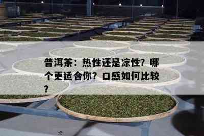 普洱茶：热性还是凉性？哪个更适合你？口感如何比较？