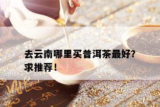 去云南哪里买普洱茶更好？求推荐！