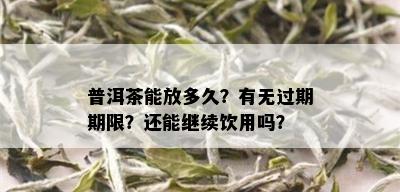 普洱茶能放多久？有无过期期限？还能继续饮用吗？