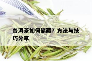 普洱茶如何储藏？方法与技巧分享