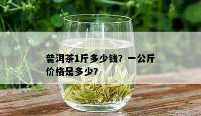 普洱茶1斤多少钱？一公斤价格是多少？