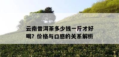 云南普洱茶多少钱一斤才好喝？价格与口感的关系解析