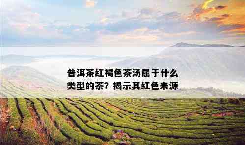 普洱茶红褐色茶汤属于什么类型的茶？揭示其红色来源