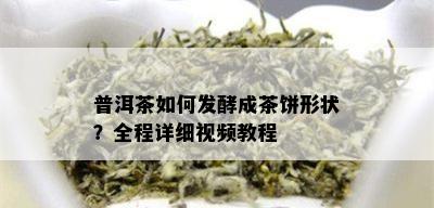 普洱茶如何发酵成茶饼形状？全程详细视频教程