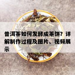 普洱茶如何发酵成茶饼？详解制作过程及图片、视频展示