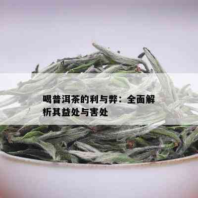 喝普洱茶的利与弊：全面解析其益处与害处