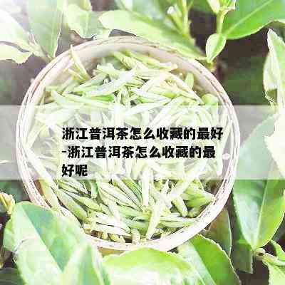 浙江普洱茶怎么收藏的更好-浙江普洱茶怎么收藏的更好呢