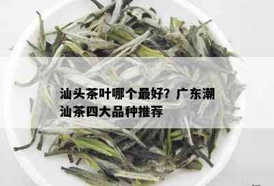 汕头茶叶哪个更好？广东潮汕茶四大品种推荐